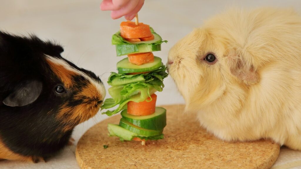 Ultimate Guinea Pig Diet Guide